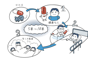 治験の流れをイラストでご説明します。